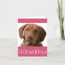 Pesquisar por chocolate labrador retriever cartoes Pensando em você