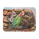 Pesquisar por buddy imas Gato