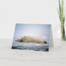 Pesquisar por polar bear cartoes Saudação