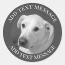 Pesquisar por almas adesivos Qualquer pessoa