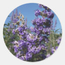 Pesquisar por árvores roxas adesivos Púrpura