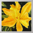 Pesquisar por fundo verde limão pôsteres Amarelo