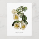 Pesquisar por exit cartoes Floral