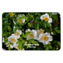 Pesquisar por estampas imas Natureza
