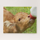 Pesquisar por leite quebra cabecas Animal