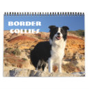 Pesquisar por collies de beira Animal de estimação