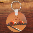 Pesquisar por ladybug chaveiros Fofo