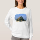 Pesquisar por peregrinação camisetas Religião
