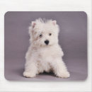 Pesquisar por westies eletronicos Bonito
