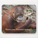 Pesquisar por dental eletronicos Dentes