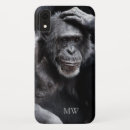 Pesquisar por chimpanzé engraçado eletronicos Gorila