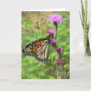 Pesquisar por flores nativas cartoes Flora