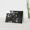 Pesquisar por escuteiros cartoes postais Águia