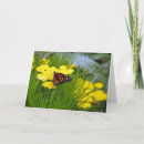 Pesquisar por insect cartoes cartoes postais Monarch