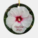 Pesquisar por hibisco ornamentos De natal