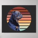 Pesquisar por rottweiler pôsteres Giro