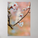Pesquisar por flores japonesas pôsteres Primavera