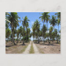 Pesquisar por polinésia cartoes postais Palmeiras