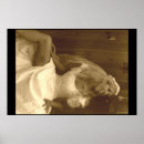 Pesquisar por casamento lésbicas de artes pôsteres Noiva