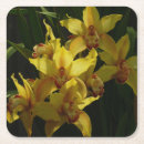 Pesquisar por orquídeas porta copos Flor
