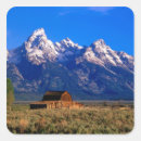 Pesquisar por teton adesivos Jackson