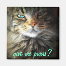 Pesquisar por purr imas Felino