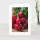 Pesquisar por rabanete cartoes Vegetal