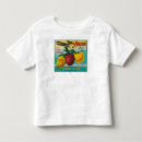 Pesquisar por dirigível camisetas Lanterna