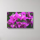 Pesquisar por flores tropicais impressão de canvas Planta