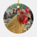 Pesquisar por galinhas ornamentos Galo