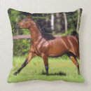 Pesquisar por cavalos árabes almofadas Prumo langrish