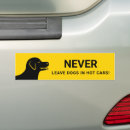 Pesquisar por cachorros adesivos carros Qualquer pessoa