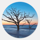 Pesquisar por island adesivos Atlântico