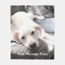 Pesquisar por labrador retriever mantas Cachorrinho