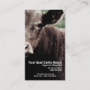 Pesquisar por bezerra cartao de visita Touro