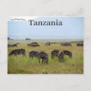 Pesquisar por serengeti Planície