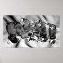 Pesquisar por rottweilers artes pôsteres Filhotes