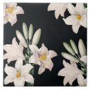 Pesquisar por lírio branco azulejos Lírios