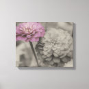 Pesquisar por zinnias Natureza
