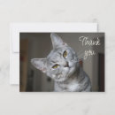 Pesquisar por pet sitter cartoes Obrigado
