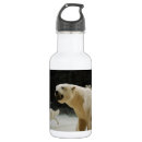 Pesquisar por urso polar garrafa agua Vida selvagem