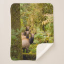 Pesquisar por olimpiadas mantas Montanhas de olimpiadas