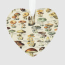 Pesquisar por naturalista ornamentos Natureza