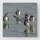 Pesquisar por da praia relogios de parede For her