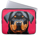 Pesquisar por cão do rottweiler capas Animais de companhia