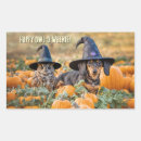 Pesquisar por corujas engraçadas adesivos Halloween