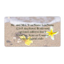 Pesquisar por havaianas etiquetas Praia