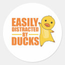 Pesquisar por pato engraçado adesivos Animais de criação