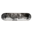 Pesquisar por arma skates Militar