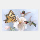 Pesquisar por colibris adesivos Vintage